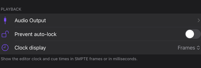 The clock display setting: SMPTE frames or milliseconds.